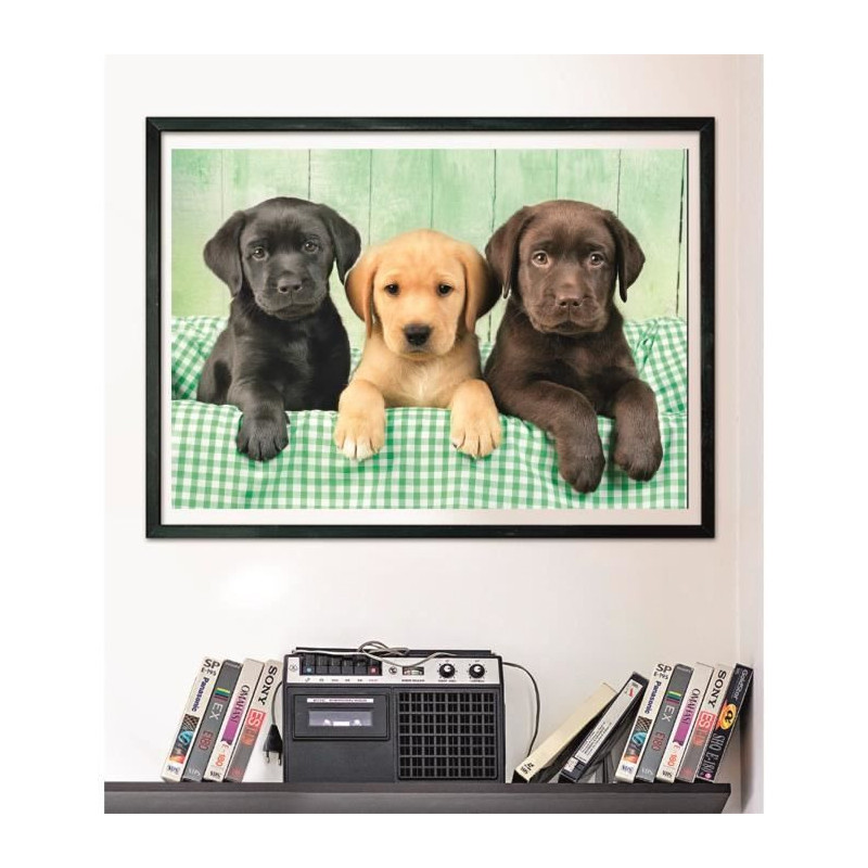 CLEMENTONI - Compact 1000 pieces - Three Labs