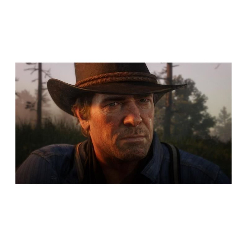 Red Dead Redemption 2 PS4 Game