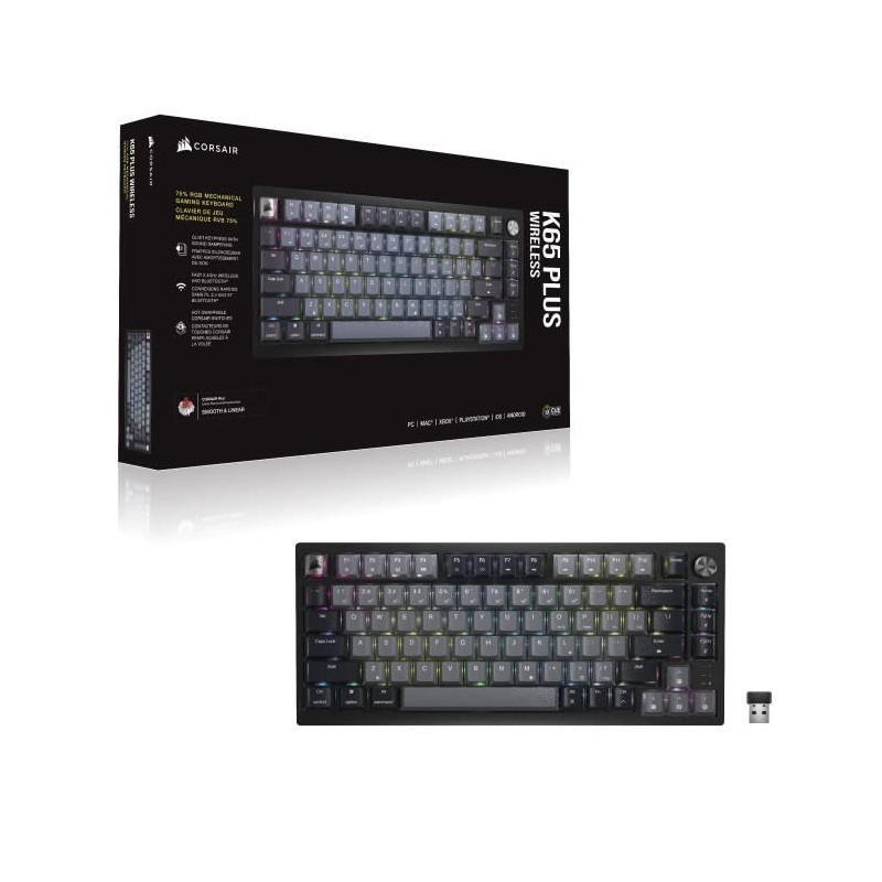 CORSAIR Name: Gaming K65 Plus