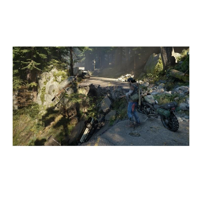 Days Gone PS4 Game