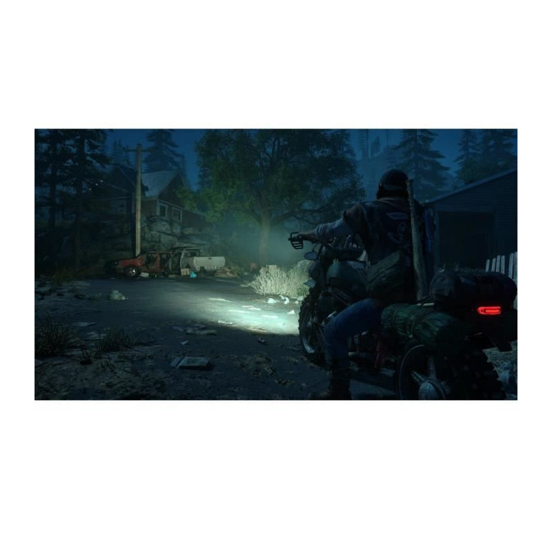 Days Gone PS4 Game