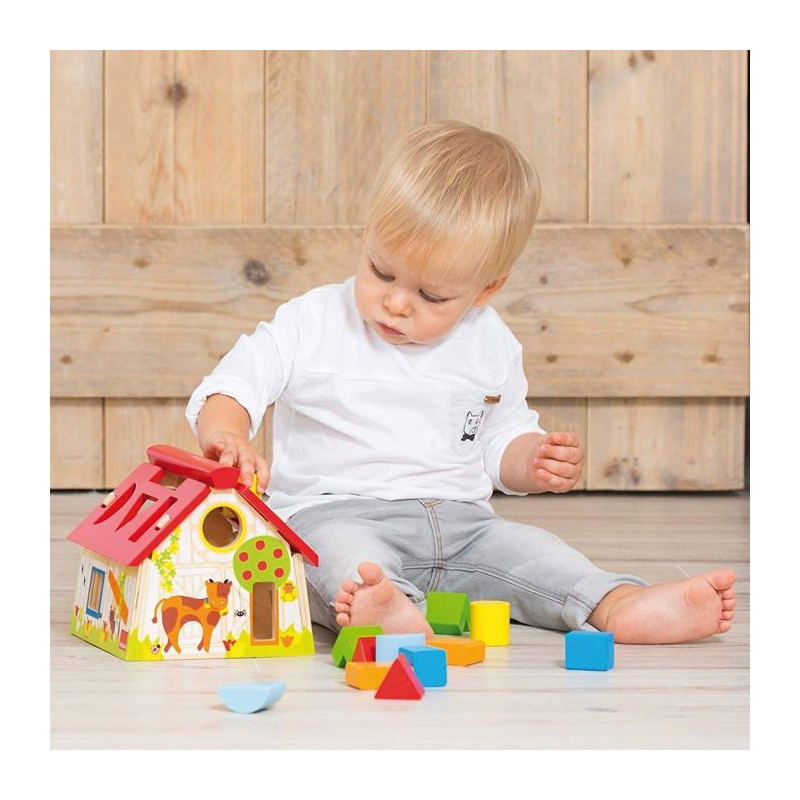 Educational toy - GOULA - Geometric shapes - Shape box to learn to rec