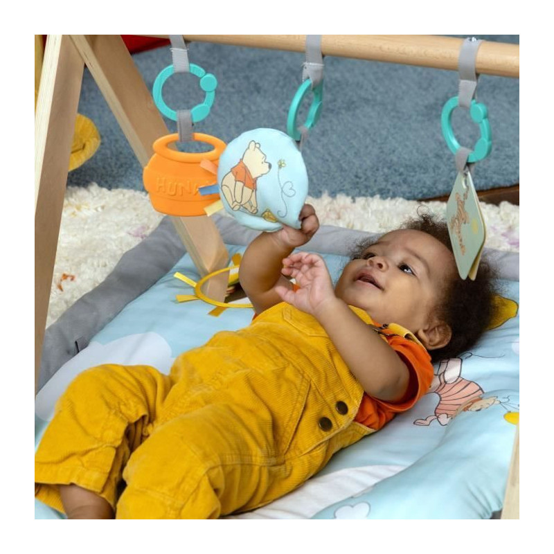 DISNEY BABY Winnie the Pooh Activity Mat, Foldable Wooden Play Arch, M