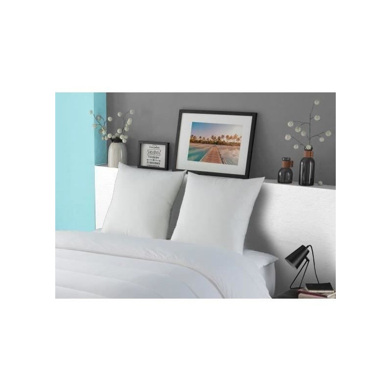 Luxor pillow dodo 60x60 cm - 100% cotton - down effect