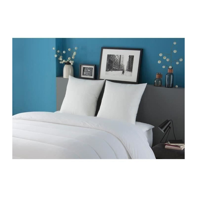 Dodo lot of 2 trendy pillows - 60 x 60 cm - 100% polyester fiber hollo