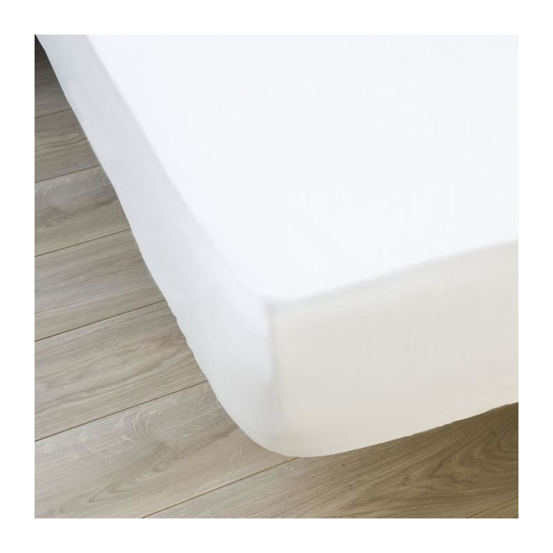 Mattress protector The waterproof - Anti bedbugs - Cotton/polyester -