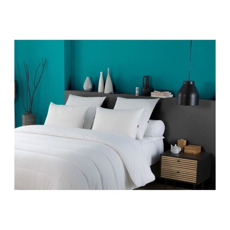 Set of 2 Trendy pillows 50x70 cm - 100% Polyester - DODO