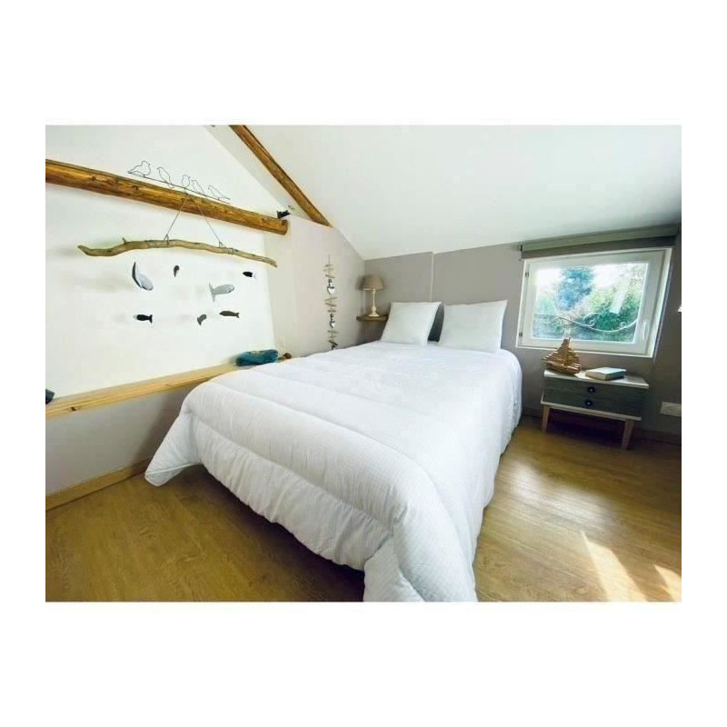 DODO temperate duvet 240x260 cm - 2 people - Anti-bug, anti-mite prote
