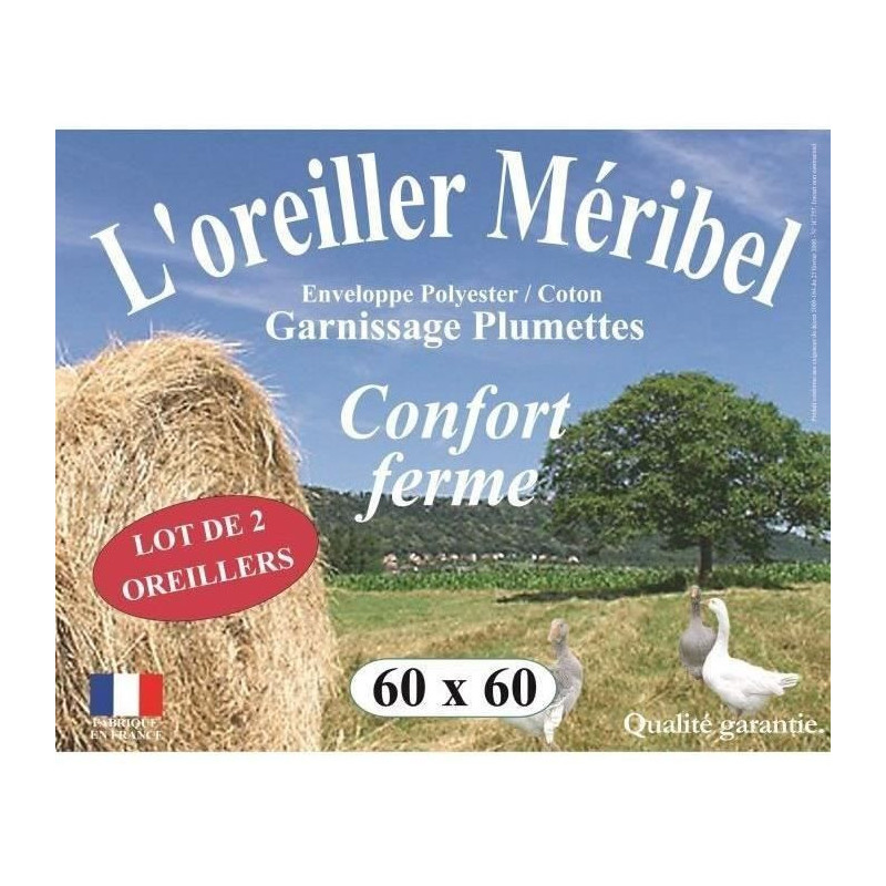 Dodo lot of 2 pillows Meribel Plumettes 60x60cm