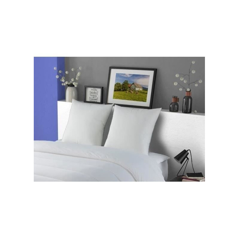 Dodo lot of 2 pillows Meribel Plumettes 60x60cm
