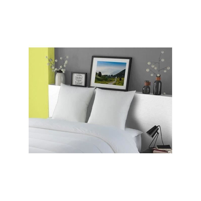 Dodo pillow down goose morzine anti-factories 65x65cm white