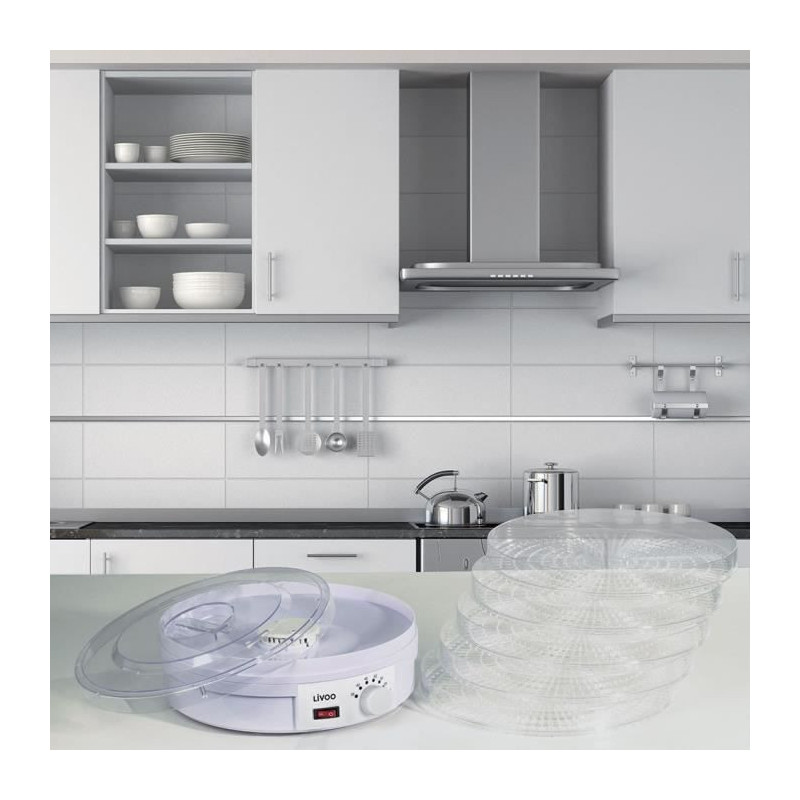 LIVOO DOM202 dryer
