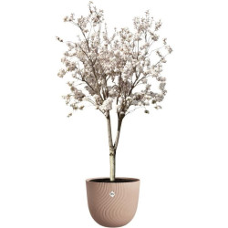 Flower pot - ELHO - Sereh Rond 47 - Brown - Ø 47 x H 40 cm - 100% rec