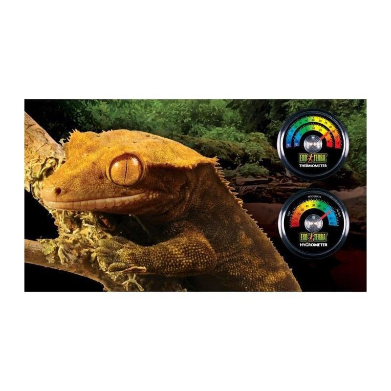 Analogue hygrometer for terrarium - EXO TERRA