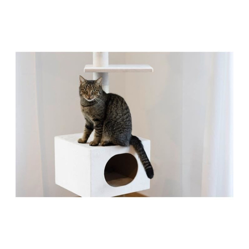 KERBL - FERDI Cat Tree - 38 x 38 x 240 to 260 cm - White - Sisal
