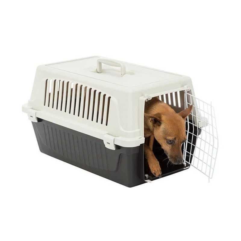 Transport basket for cats and small dogs ATLAS 10EL - Plastic - FERPLA