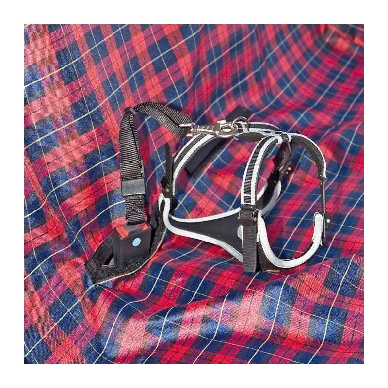 Car seat protection cover - FERPLAST - Black / Red