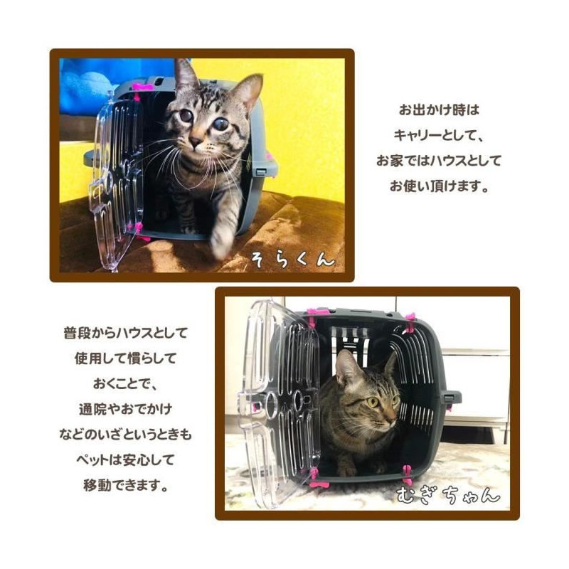 Transport basket for cats and small dogs JET 10 - Plastic - FERPLAST