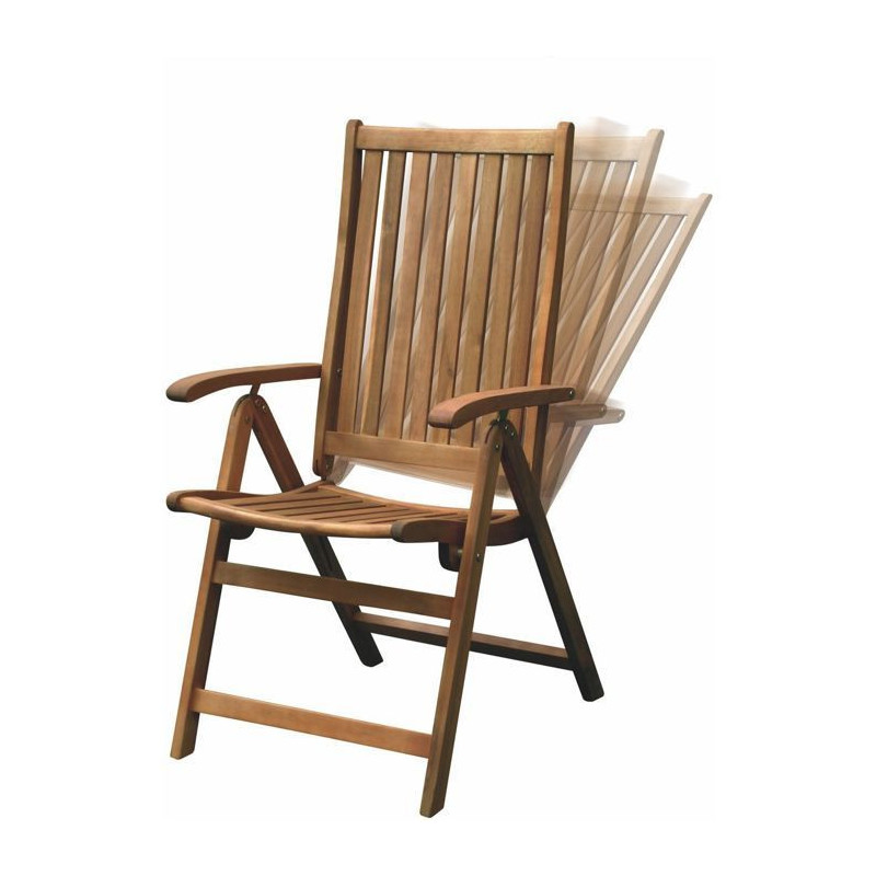 Adjustable chairs - Fieldmann - FDZN 4001-T