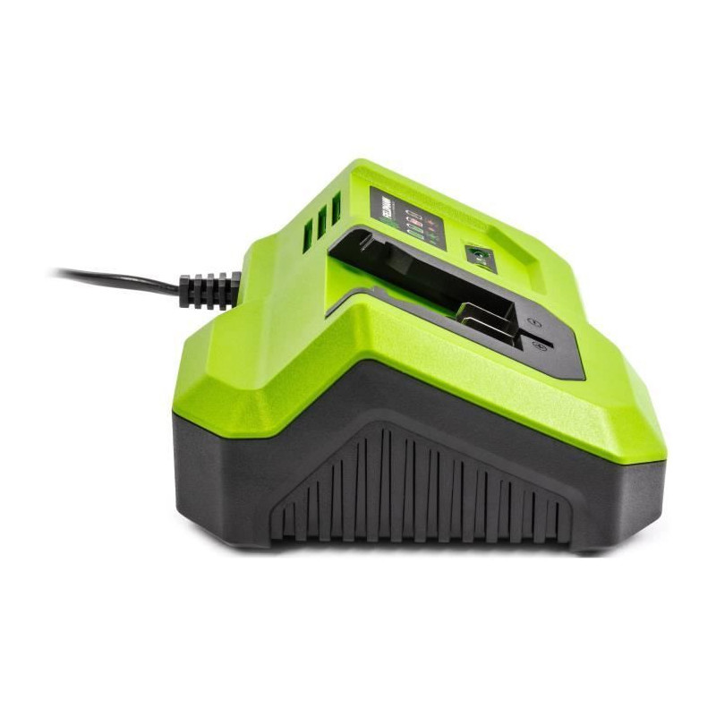 Fast charger - FIELDMANN - For 20V battery - Charges 2Ah in 30 min - C