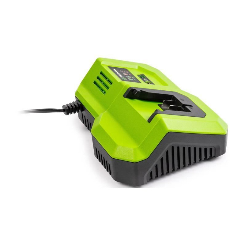 Fast charger - FIELDMANN - For 20V battery - Charges 2Ah in 30 min - C