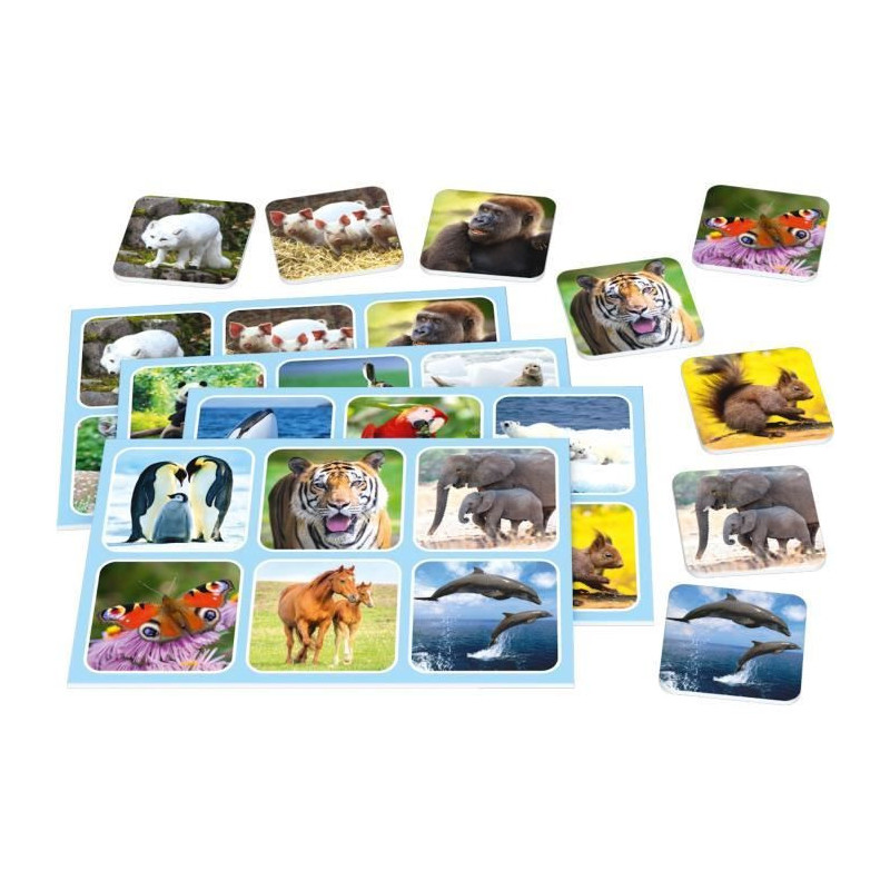 Zoo Lotto - SCHMIDT SPIELE