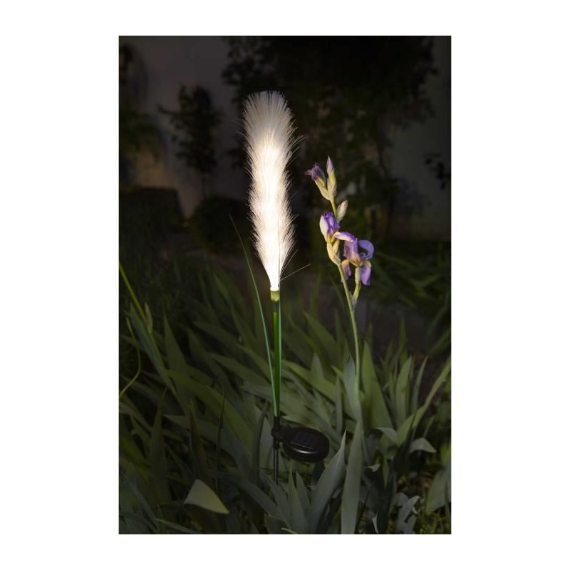 Light decoration - GALIX - G4515 - Solar energy: Feather duster