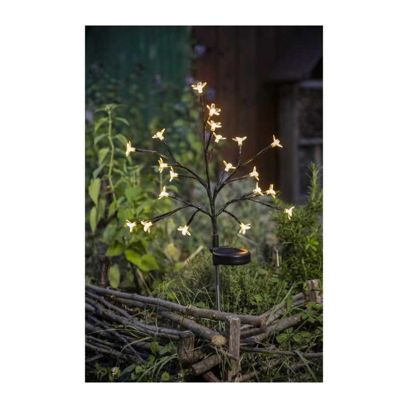 Solar flowering shrub - GALIX - G4505 - H72