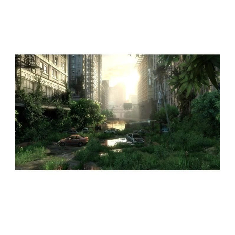The Last of Us Remastered PlayStation Hits Jeu PS4