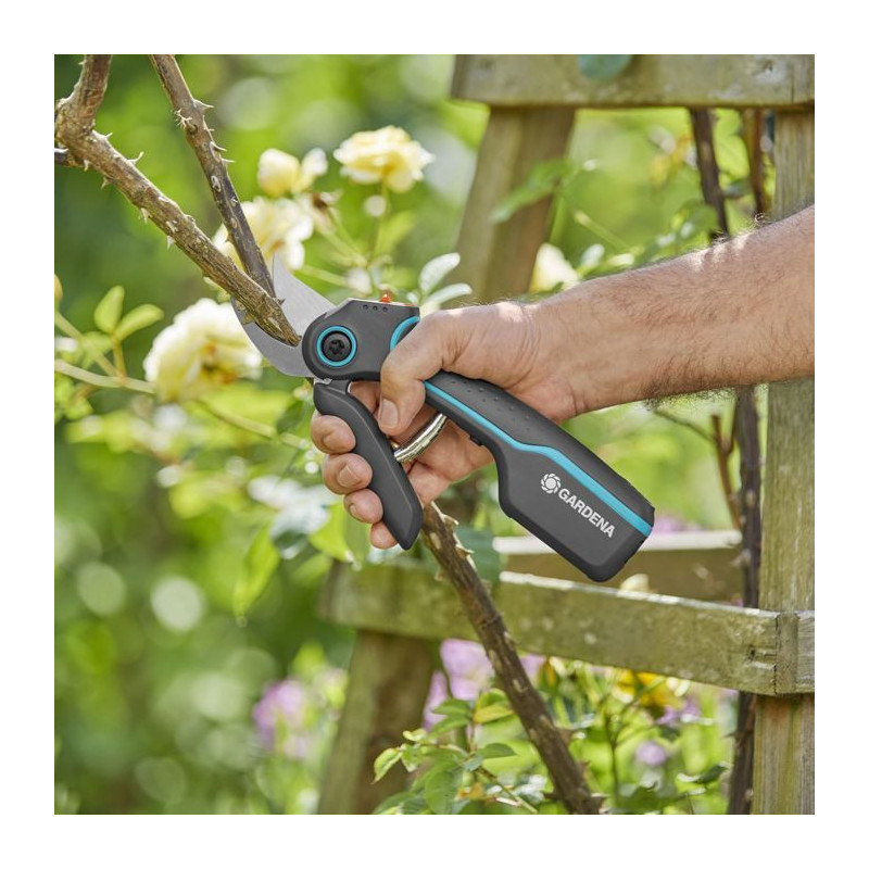 AssistCut Pruner - 12222-20
