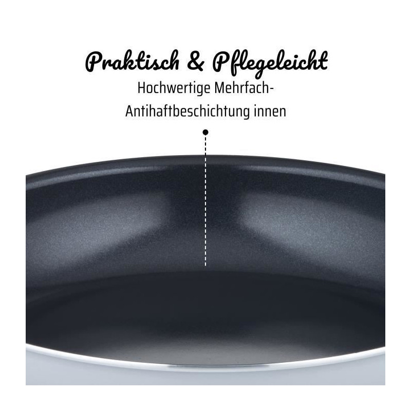 Professional frying pan - GSW - PRO BASIC - 24 cm - Induction - Thick