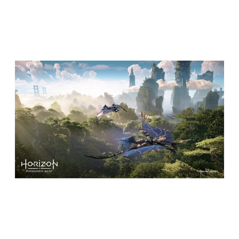 Horizon: Forbidden West PS4 Game (PS5 Upgrade Available)
