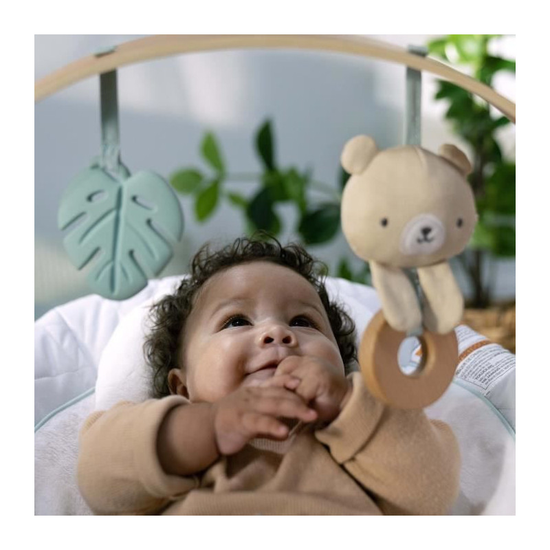 INGENUITY Nate the Bear bouncer with wooden play arch