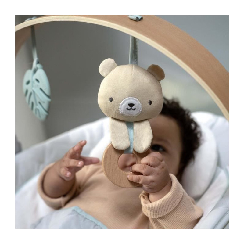 INGENUITY Nate the Bear bouncer with wooden play arch