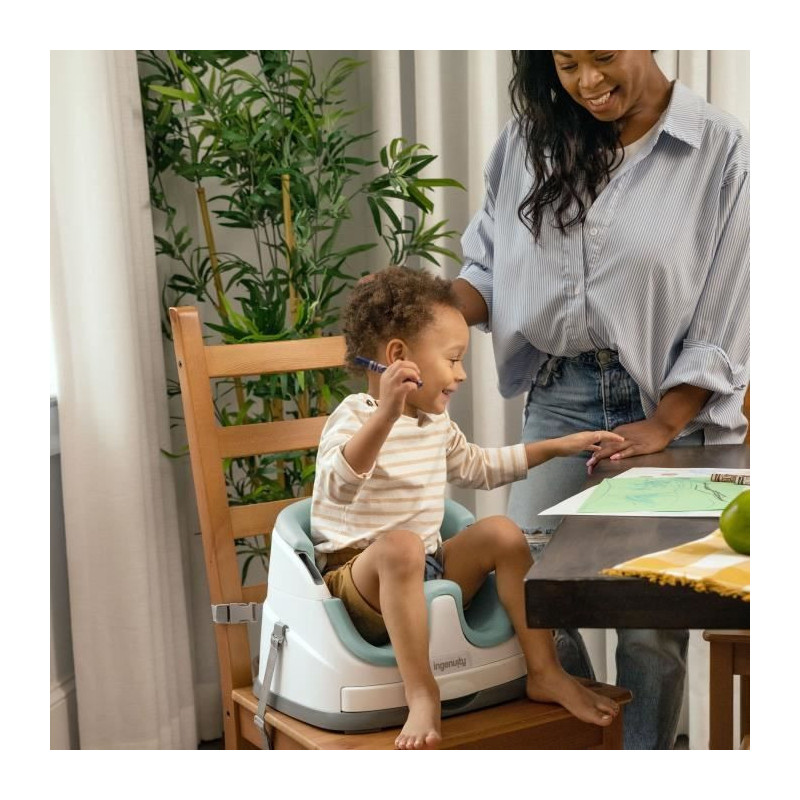 INGENUITY 2-in-1 booster seat with integrated storage tray, mist, from