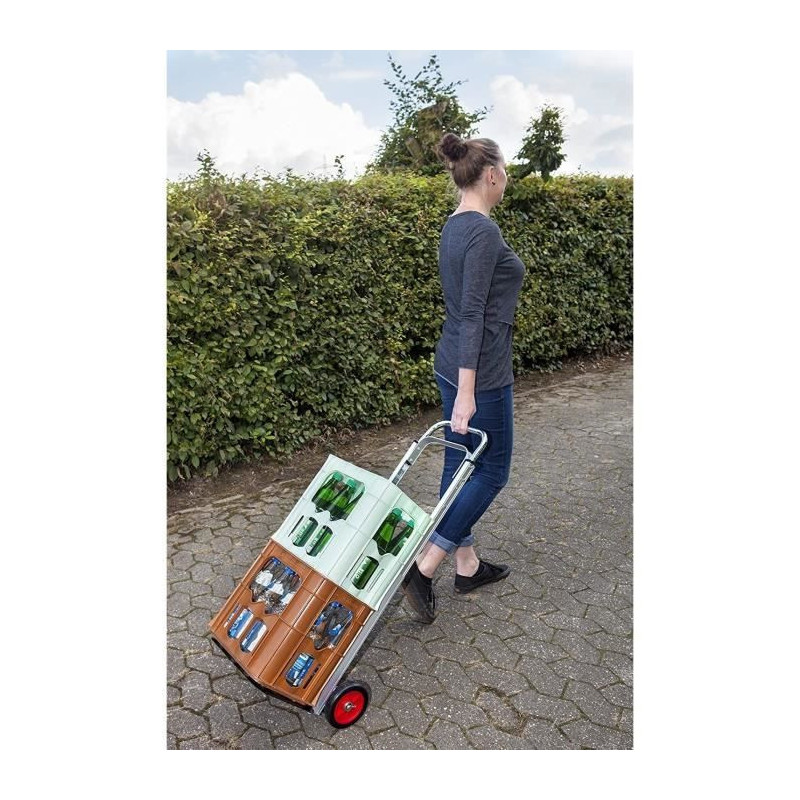 Devil in folding aluminum 90 kg Meister