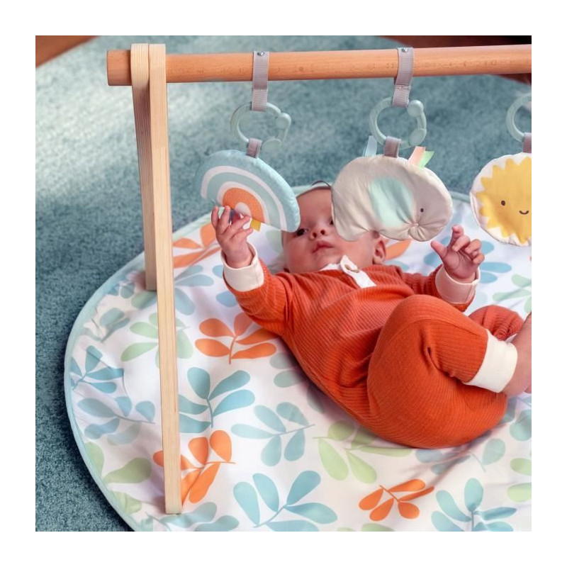INGENUITY Sun Valley Play Mat, Wooden Play Arch - 3 Removable Toys - F