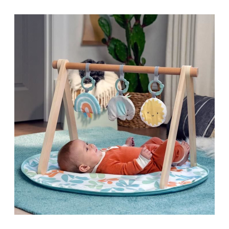 INGENUITY Sun Valley Play Mat, Wooden Play Arch - 3 Removable Toys - F