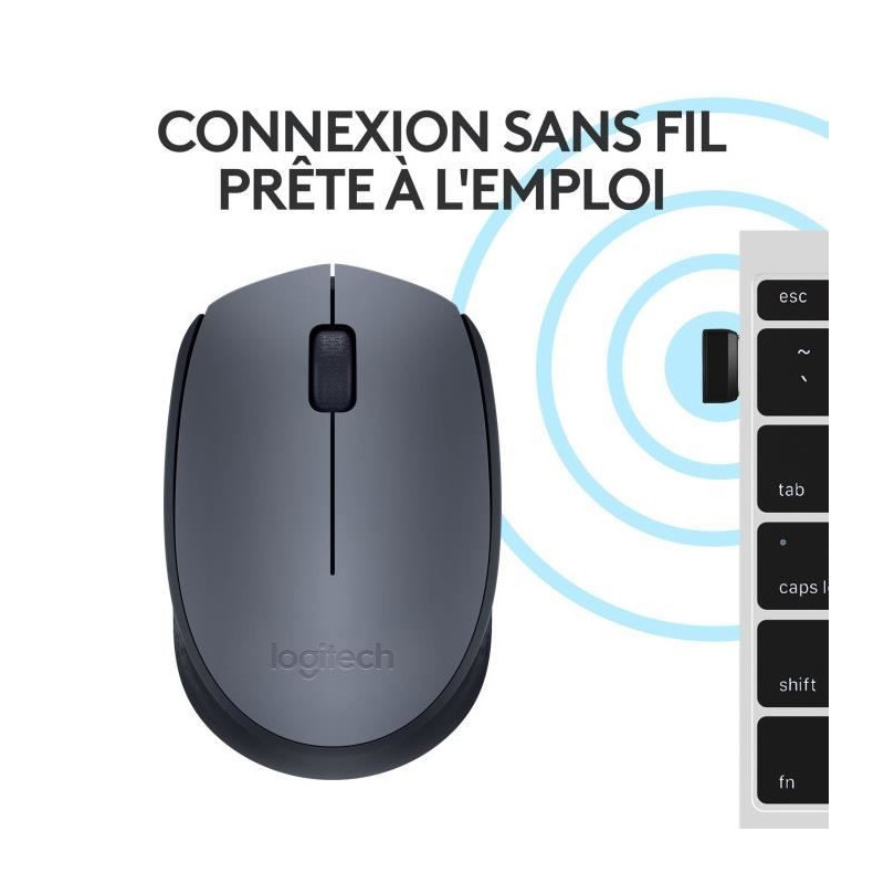LOGITECH Wireless Mouse M170 - Gray