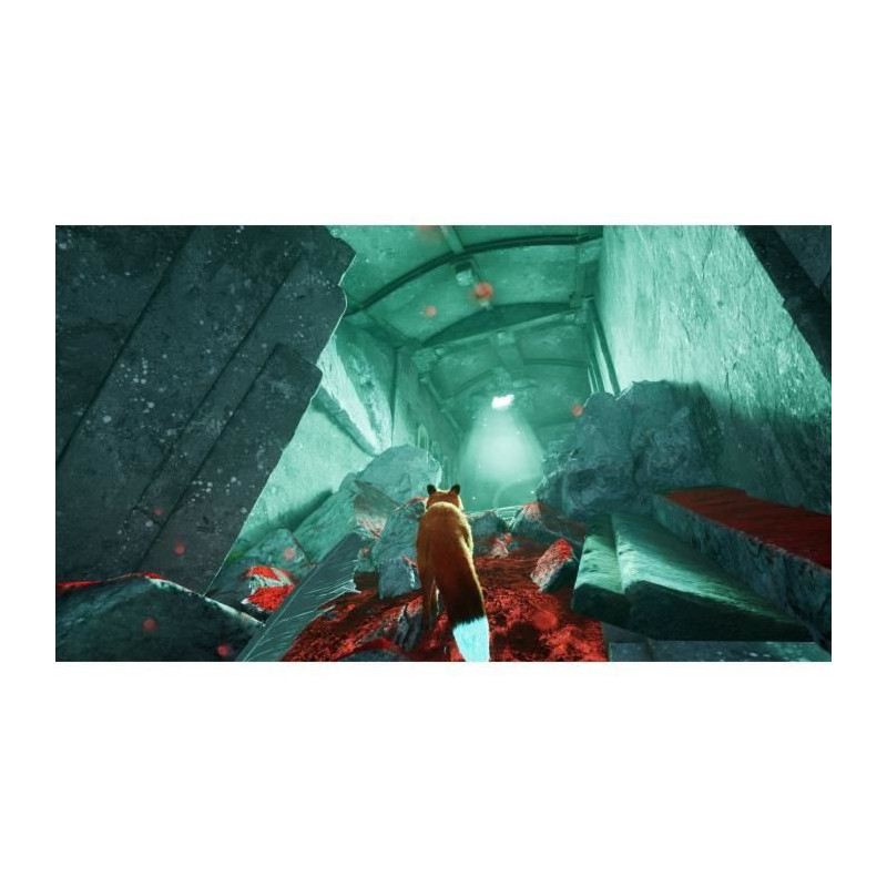 Adventure Video Game - Silver Lining - Spirit of the North 2 - PS5 - P