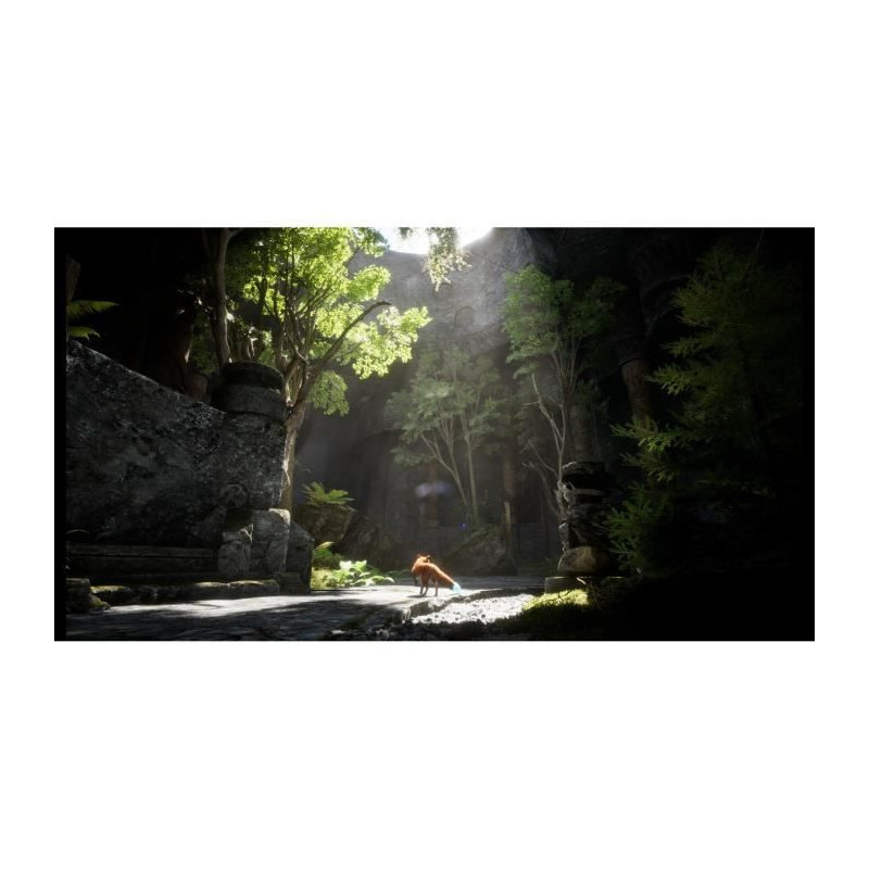 Adventure Video Game - Silver Lining - Spirit of the North 2 - PS5 - P