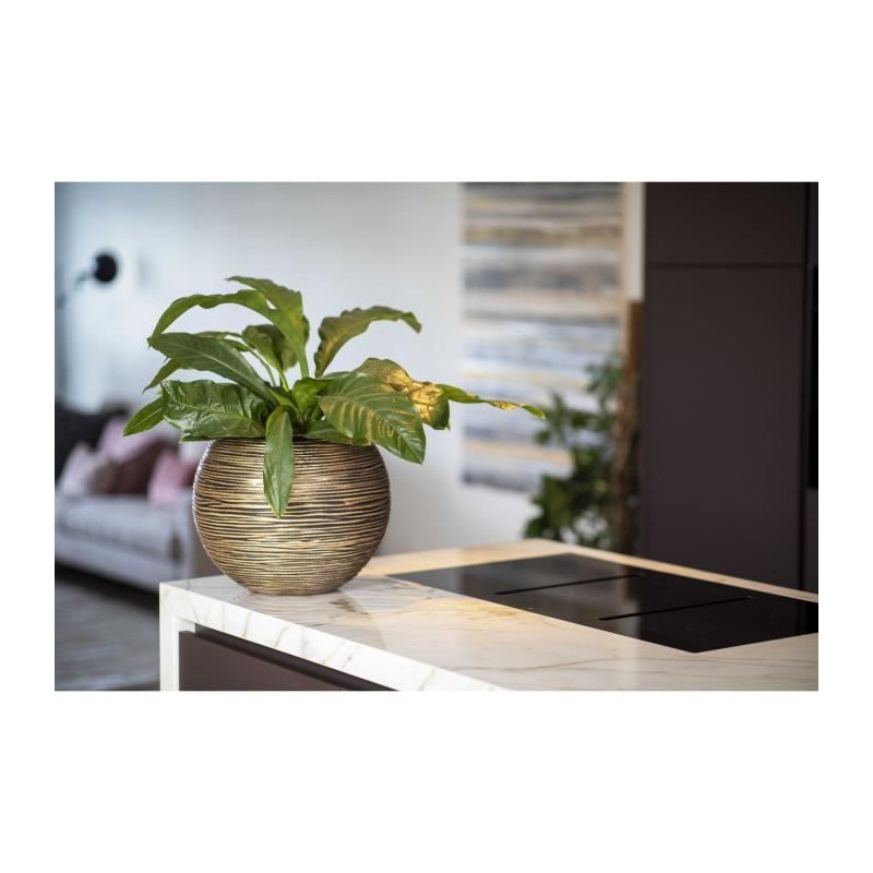 Ball vase - CAPI EUROPE - RIB NL - 40 x 32 cm - Black / Gold