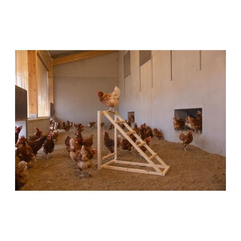 KERBL Chicken climbing tower - 85 x 55 x 76 cm - With swing - Robust l