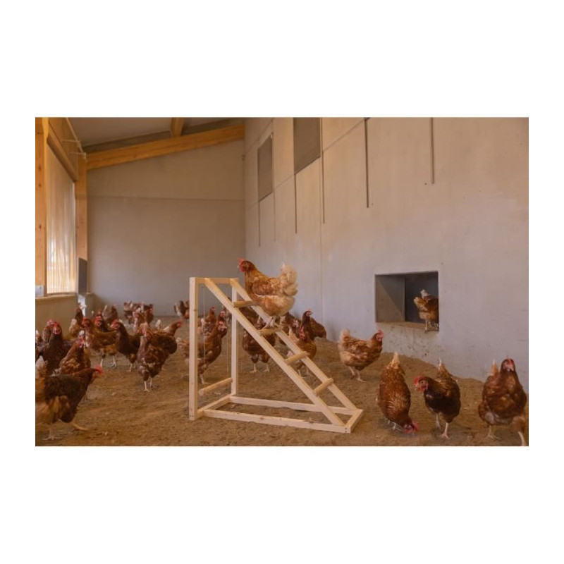 KERBL Chicken climbing tower - 85 x 55 x 76 cm - With swing - Robust l