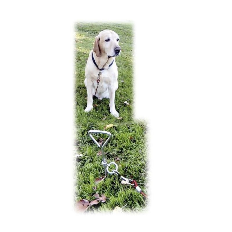 Kerbl leaving attachment with dog spiral anchoring