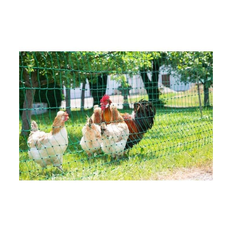 Poultry net - KERBL - 25 m - 106 cm - Double point - Green