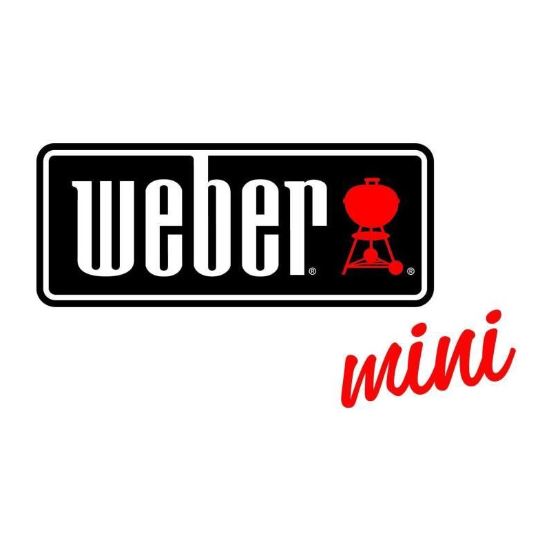 KLEIN - Weber One Touch Premium barbecue with sound and light charcoal