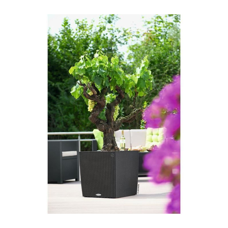 LECHUZA CUBE Cottage 50 Planter - Granite - Automatic Watering - 61L -