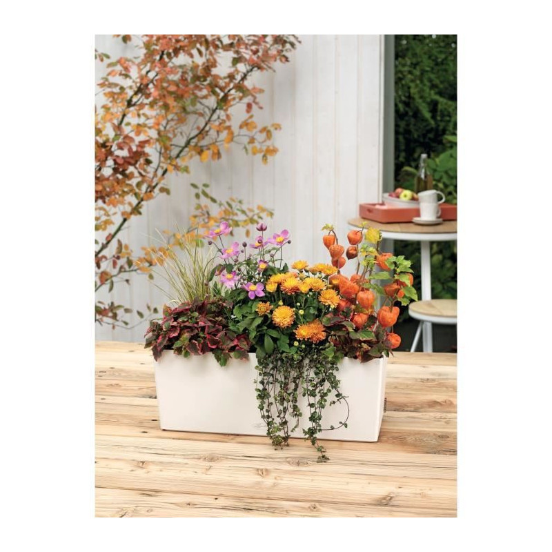 LECHUZA Jardiniere Balconera Color 50 ALL-IN-ONE White 15670