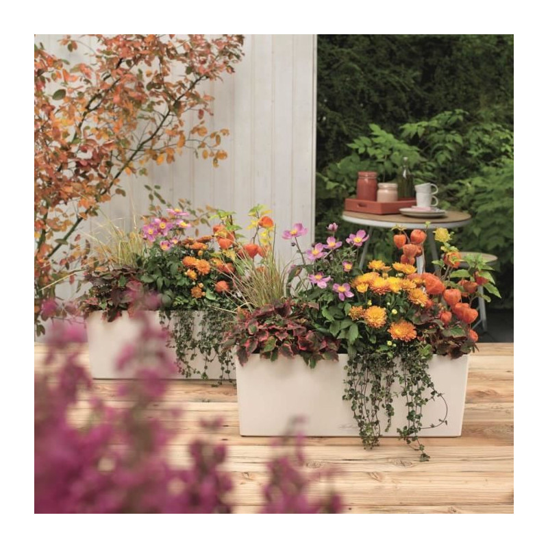 LECHUZA Jardiniere Balconera Color 50 ALL-IN-ONE White 15670